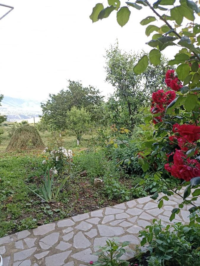 Amoj B&B And Guest House Alaverdi Exterior foto